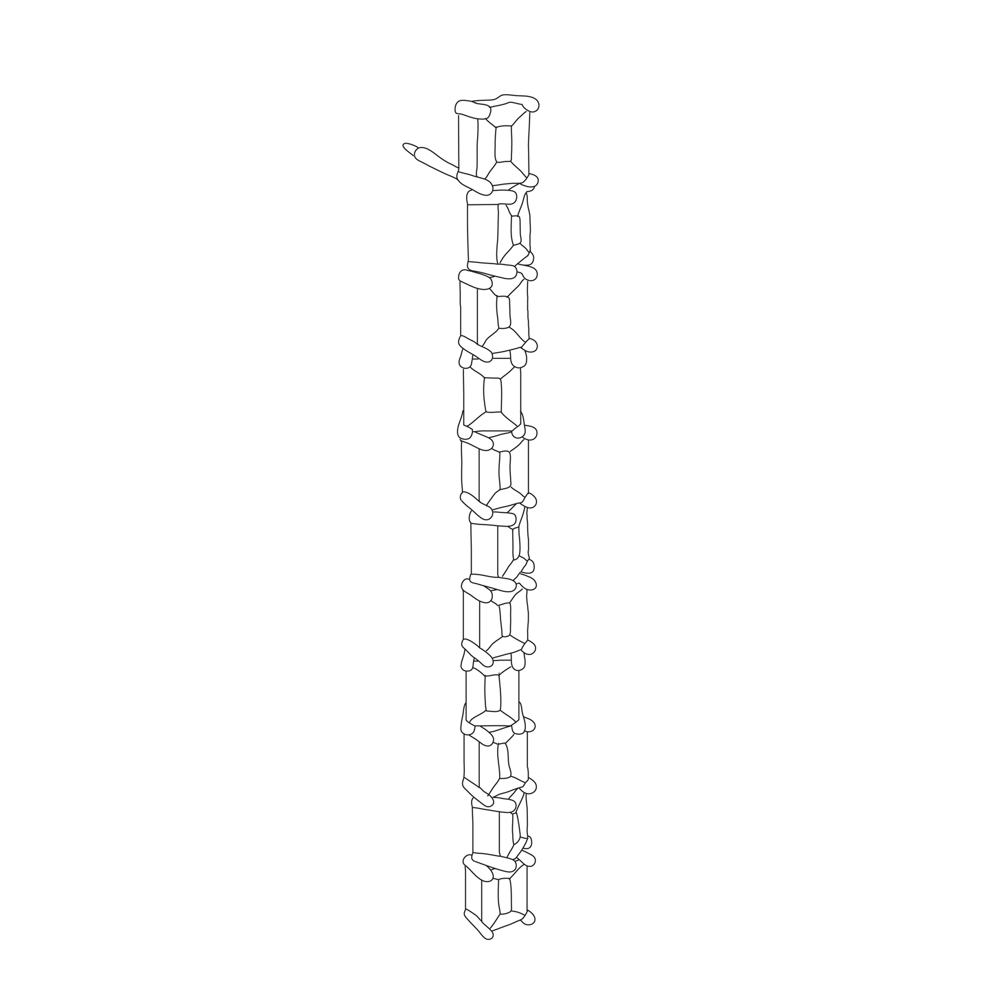 MODULAR MOVEMENT DIAMOND