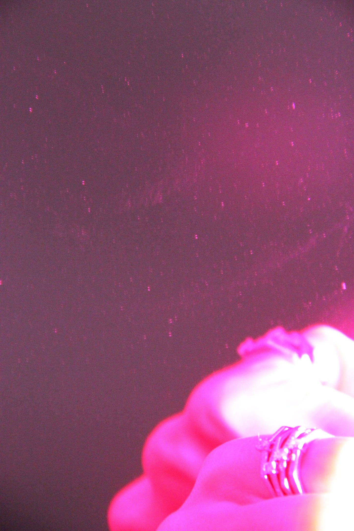 AUDACE STACK 6 プリンセスのみ