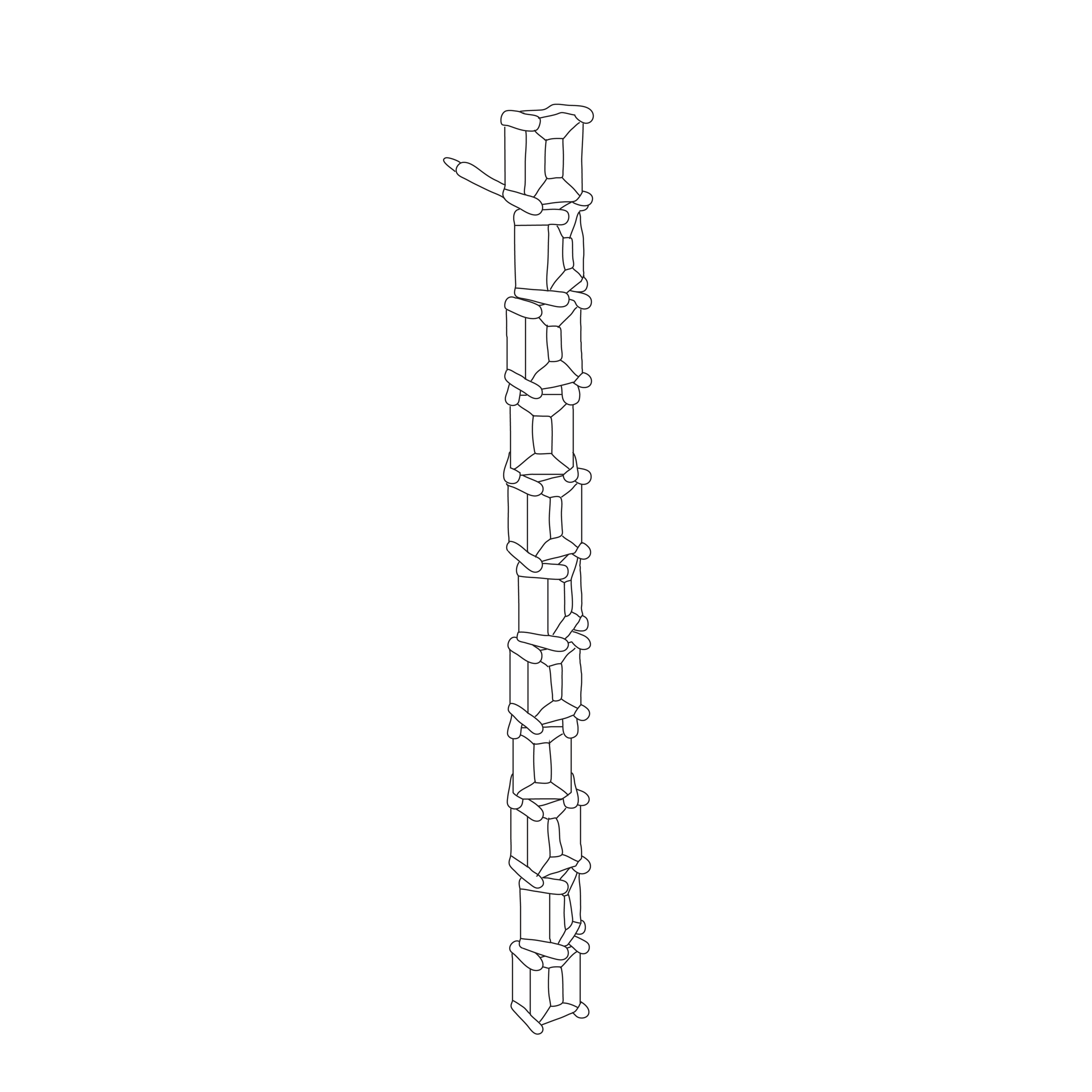 MODULAR MOVEMENT DIAMOND