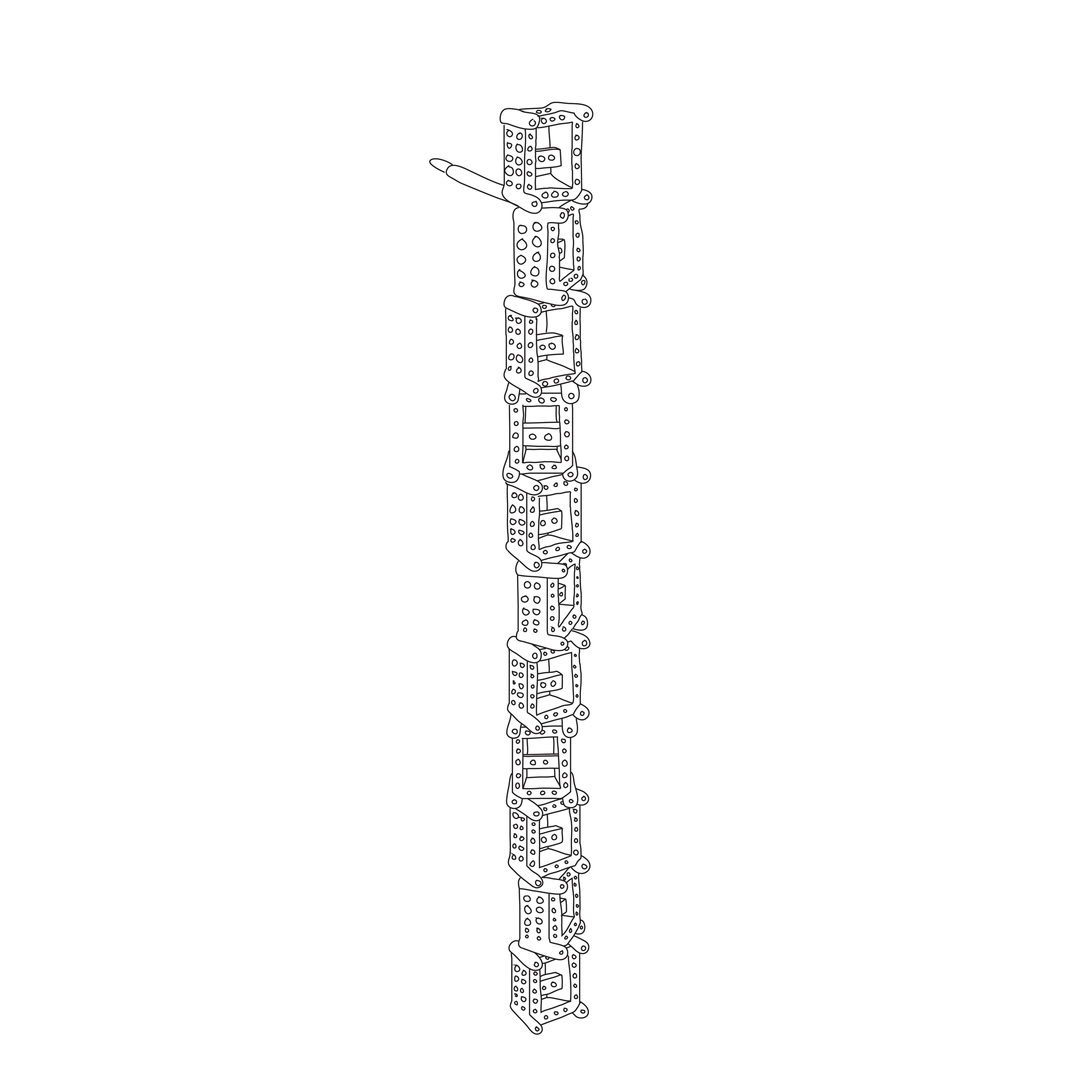 MODULAR MOVEMENT VOID